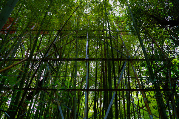 ◆獣人病院 其の陸-2