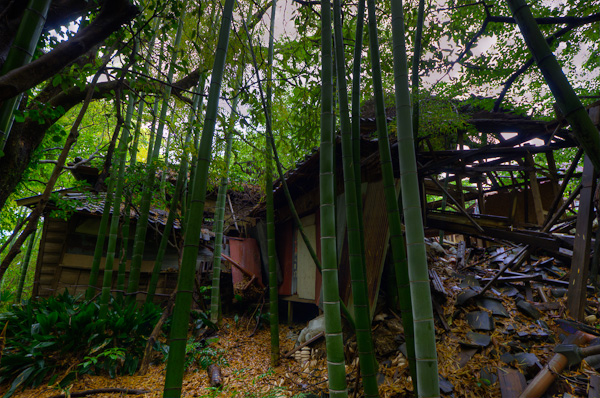 ◆獣人病院 其の陸-3