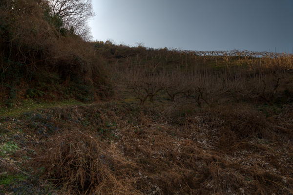◆飯盛鉱山 再訪 其の壱-1