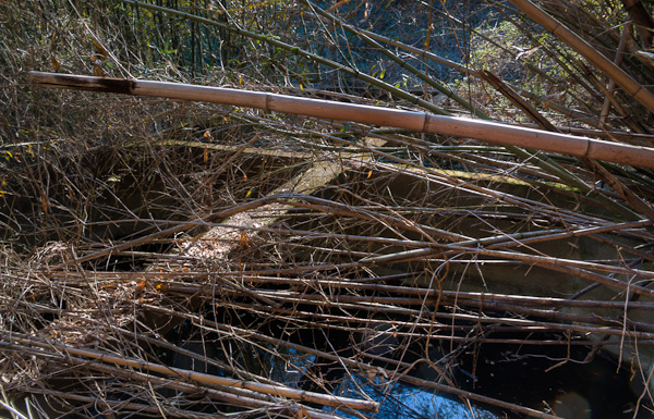 ◆飯盛鉱山 再訪 其の壱-3