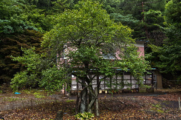 奥多摩ロープウェイ跡　その壱-4