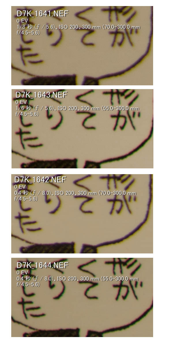 AF-S DX NIKKOR 55-300mm f/4.5-5.6G ED VR-4