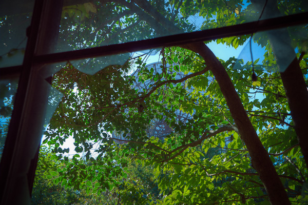 ◆米軍府中基地 其の八 兵舎内部-2