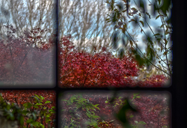 ◆秋のマヤカン 其の壱拾弐 大広間-1