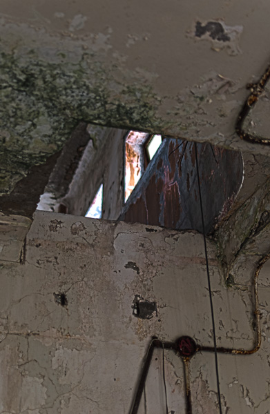 ◆秋のマヤカン 其の壱拾弐 大広間-6