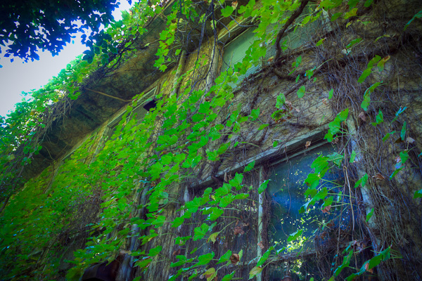 ◆米軍府中基地 其の玖 兵舎内部-3