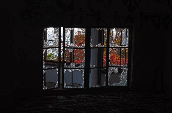 ◆秋のマヤカン　其の壱拾参　ステージ-4