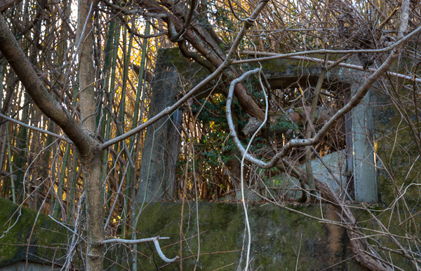 ◆飯盛鉱山 再訪 其の弐-1