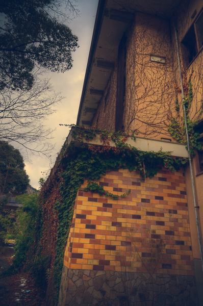 ◆ほととぎす 再び 其の壱-1