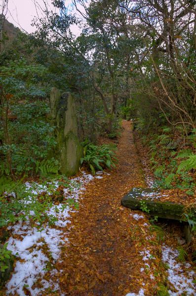 ◆ほととぎす 再び 其の壱-2