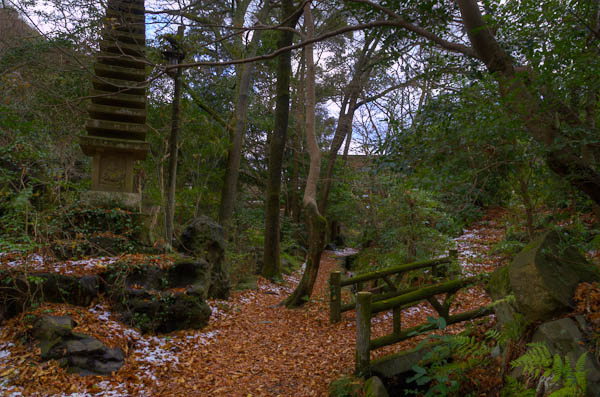 ◆ほととぎす 再び 其の壱-3