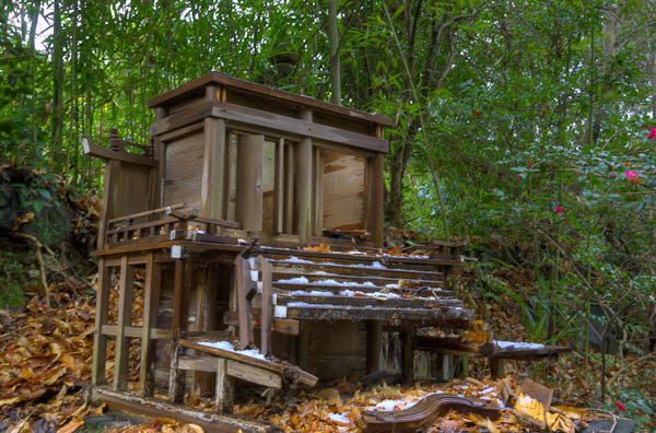 ◆ほととぎす 再び 其の壱-4