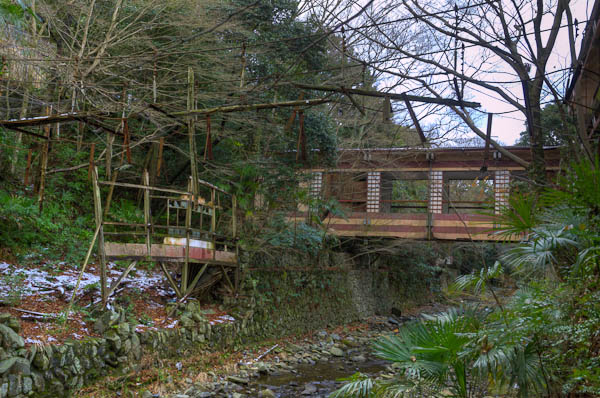 ◆ほととぎす 再び 其の壱-5