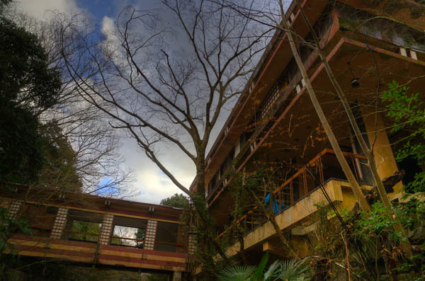 ◆ほととぎす 再び 其の壱-6