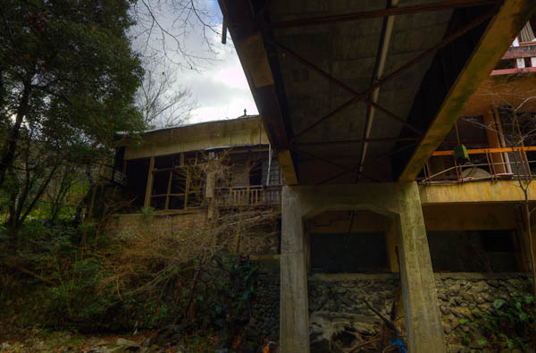 ◆ほととぎす 再び 其の弐-2