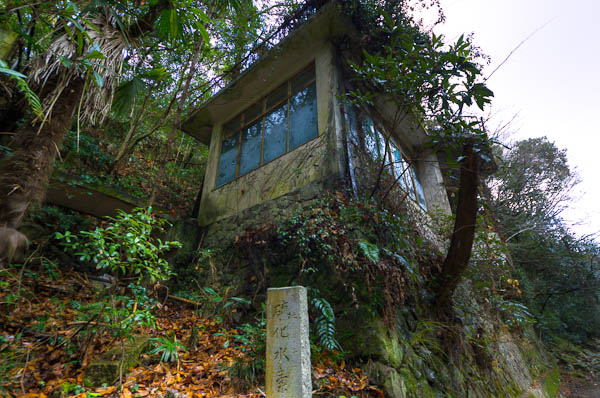 ◆ほととぎす 再び 其の弐-4