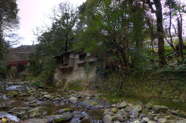 ◆ほととぎす 再び 其の参-1