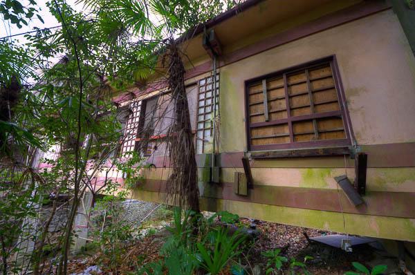 ◆ほととぎす 再び 其の参-4