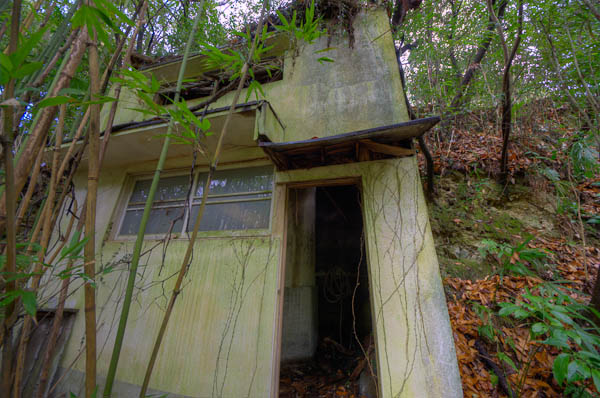 ◆ほととぎす 再び 其の参-5