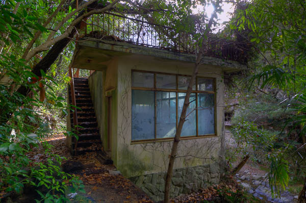 ◆ほととぎす 再び 其の四-1