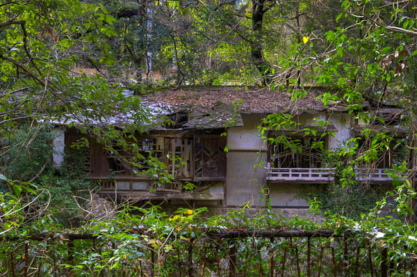 ◆ほととぎす 再び 其の四-3