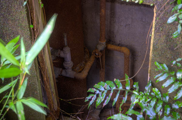 ◆ほととぎす 再び 其の四-4