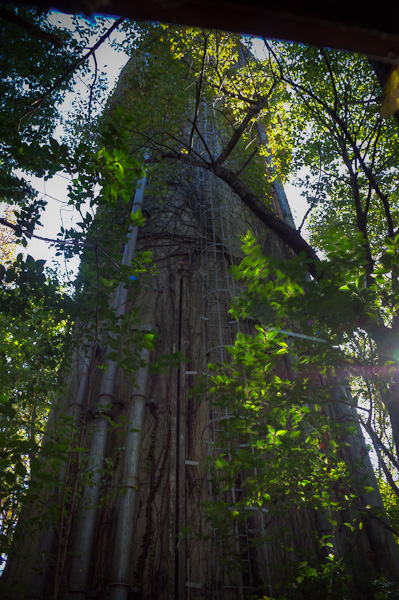 ◆米軍府中基地 其の壱拾壱 最終回-4