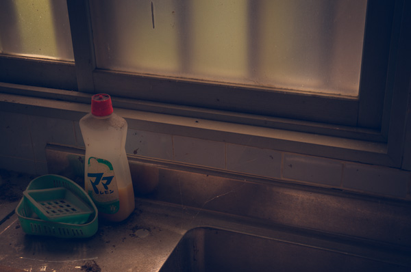 ◆生駒山上別荘廃墟群 其の参-4