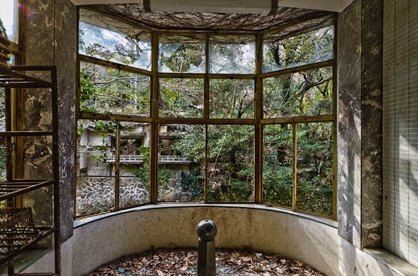 ◆ほととぎす 再び 其の伍-1