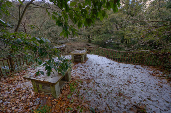 ◆ほととぎす　再び　其の六-1