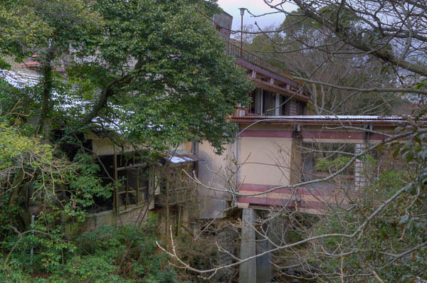 ◆ほととぎす　再び　其の六-2