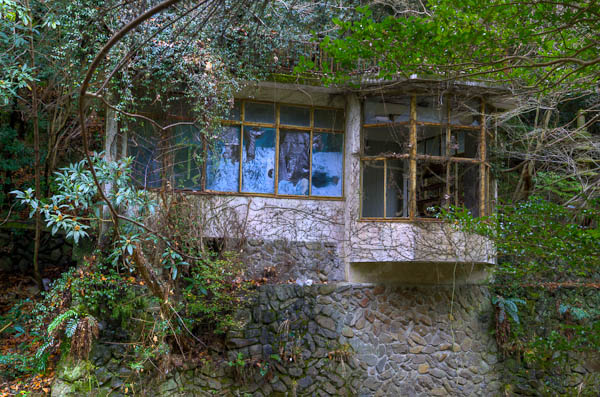 ◆ほととぎす　再び　其の六-4