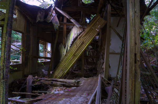 ◆ほととぎす　再び　其の六-5