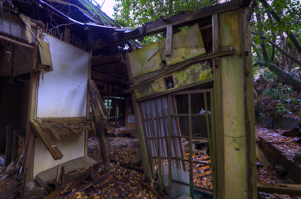 ◆ほととぎす　再び　其の六-6