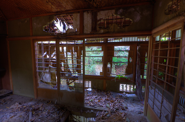 ◆ほととぎす　再び　其の六-7