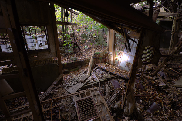 ◆ほととぎす　再び　其の六-8