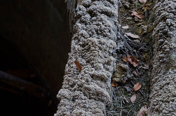 ◆飯盛鉱山　再訪　其ノ七-7