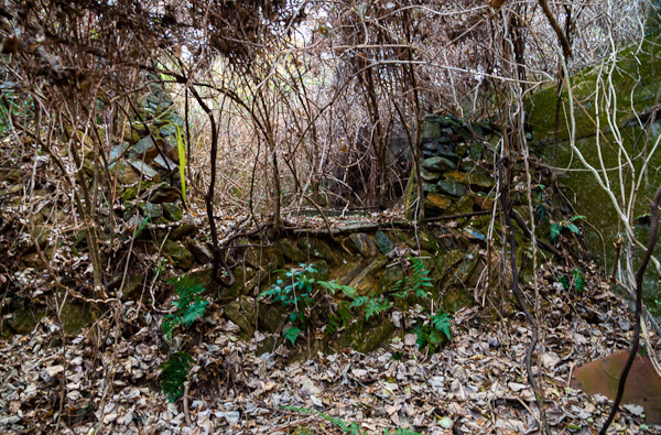 ◆飯盛鉱山 再訪 其ノ九-8