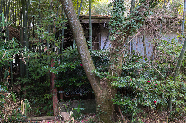 ◆生駒山上別荘廃墟群　其の四-5