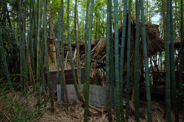 ◆生駒山上別荘廃墟群　其の四-6