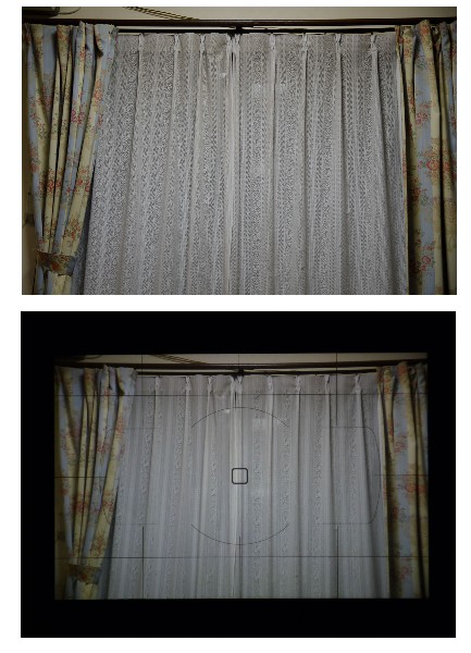 ◆NIKON D7000 視野率100%？-2