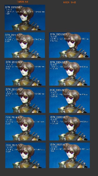 ◆AF-S DX NIKKOR 16-85mm f/3.5-5.6G ED VR ― 周辺解像度-1