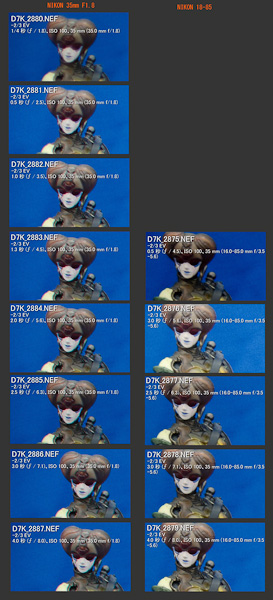 ◆NIKON 16-85mm f/3.5-5.6G 周辺解像度 vs 短焦点編-2